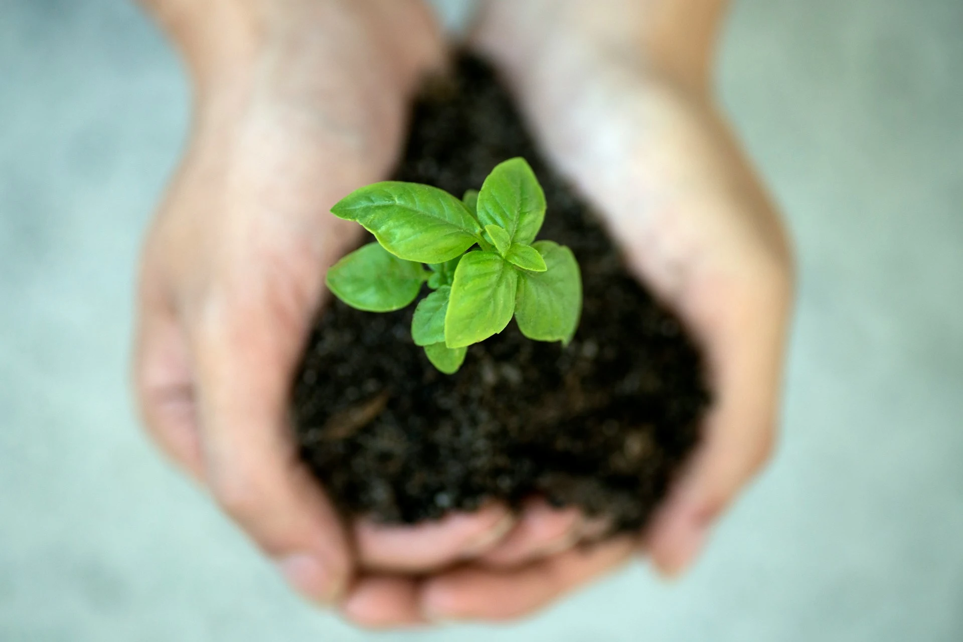 Environmental, Social e Governance