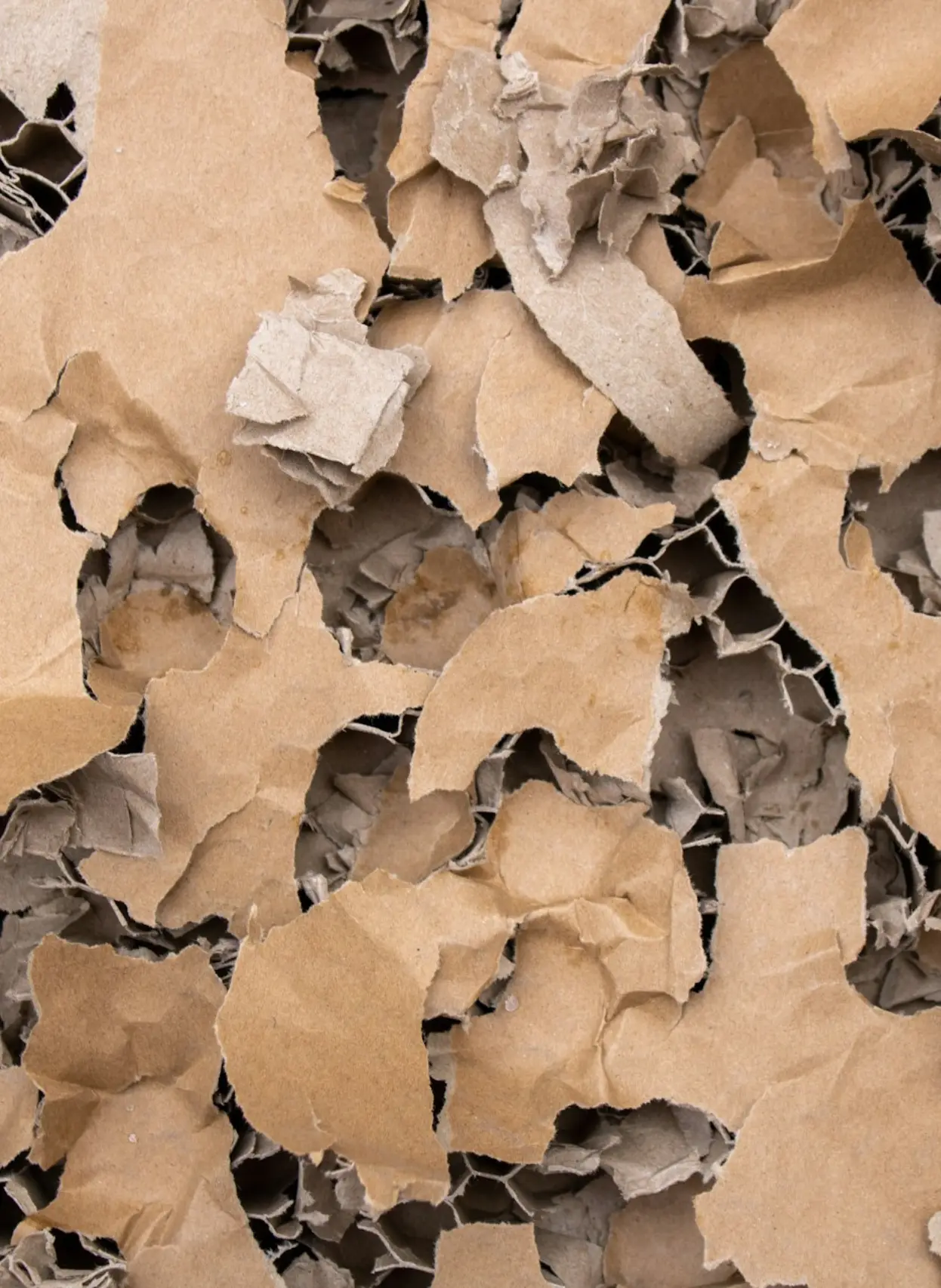 Economia Circolare Cartone - Datlas Group